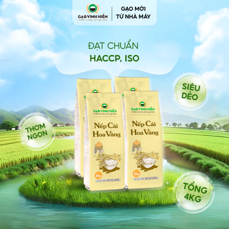 [Nếp Bắc] Combo 4 túi Nếp Cái Hoa Vàng Vinh Hiển - Dẻo nhiều, thơm ngon, nếp nấu xôi, nếp nấu chè