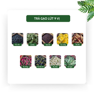 [Mua 1 tặng 1] Trà Gạo Lứt Đậu Đen 9 Vị - Hỗ trợ bồi bổ và khí huyết lưu thông,da mịn màng - Tiệm Trà Việt