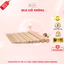 Que Gỗ Thông Tròn Phi 10mm (1CM) Dùng Làm Đồ Handmade,Trái Quýt Kẽm Nhung, Thân Cây Thông Kẽm Nhung- YÊN STORE DIY