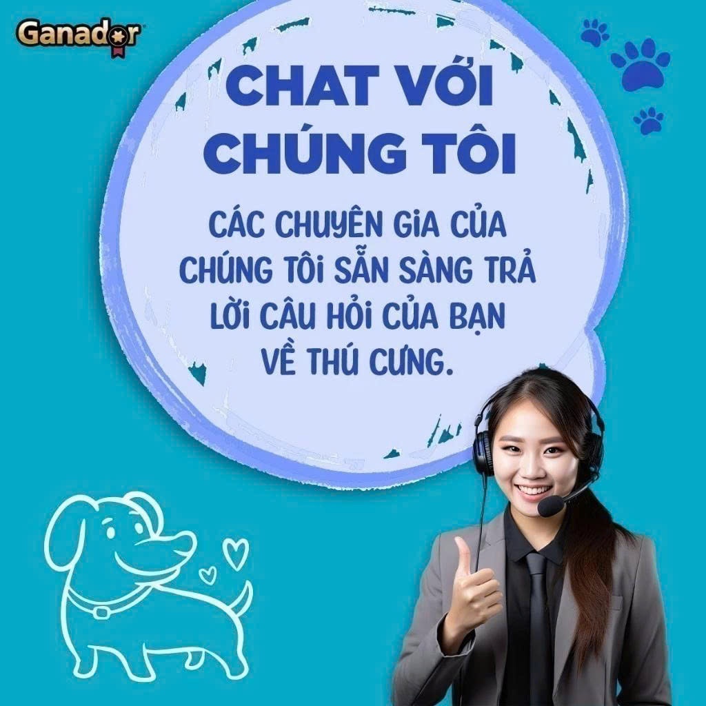 Thức Ăn Hạt Cho Chó Con Ganador Vị Trứng Và Sữa Gói 3kg Hỗ Trợ Phát Triển Xương Và Hệ Miễn Dịch