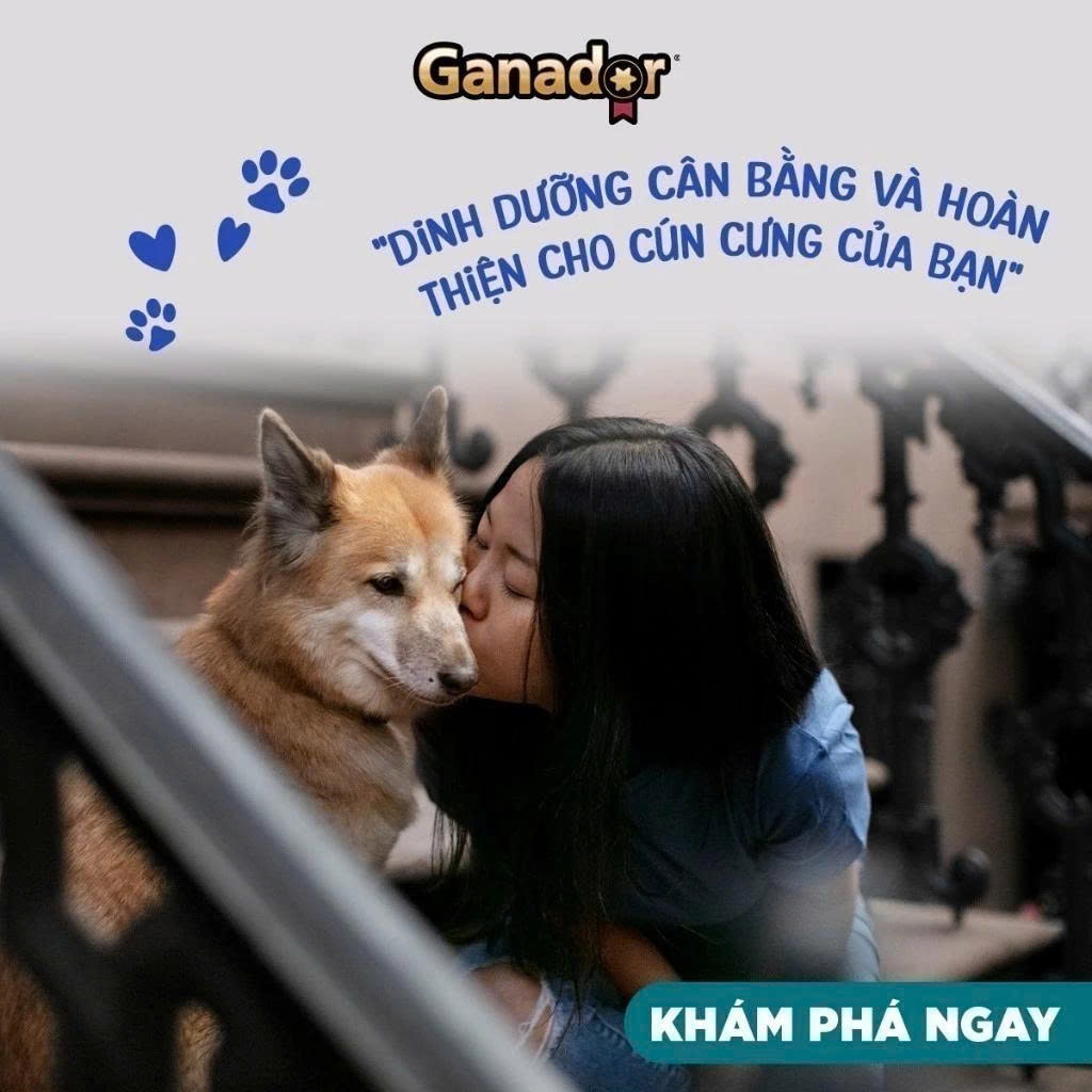 Thức Ăn Hạt Cho Chó Con Ganador Vị Trứng Và Sữa Gói 3kg Hỗ Trợ Phát Triển Xương Và Hệ Miễn Dịch