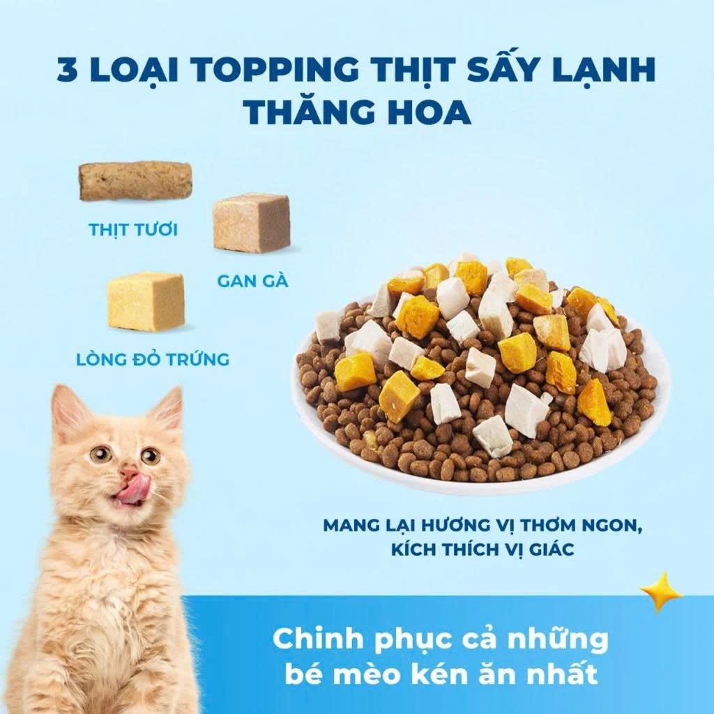 Thức Ăn Cho Mèo MRVET T1&T2 Gói Hạt Cho Mèo Holistic 300G Với 30% Protein Dùng Cho Mèo Mọi Lứa Tuổi