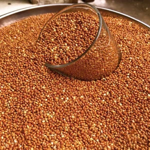 500g Kg Hạt Kê, Kê Đỏ Hạt Bóng Cho Gà Rutin Chim Cảnh, Vẹt, Chim Yến Phụng, Chim Cu Gáy, Hamster Và Các Dòng Chim Sẻ