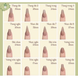 (HOẢ TỐC ) NAILBOX SƠN THẠCH HỒNG VẼ TRÁI CHERRY FEND ĐẦU MÓNG TONE DA