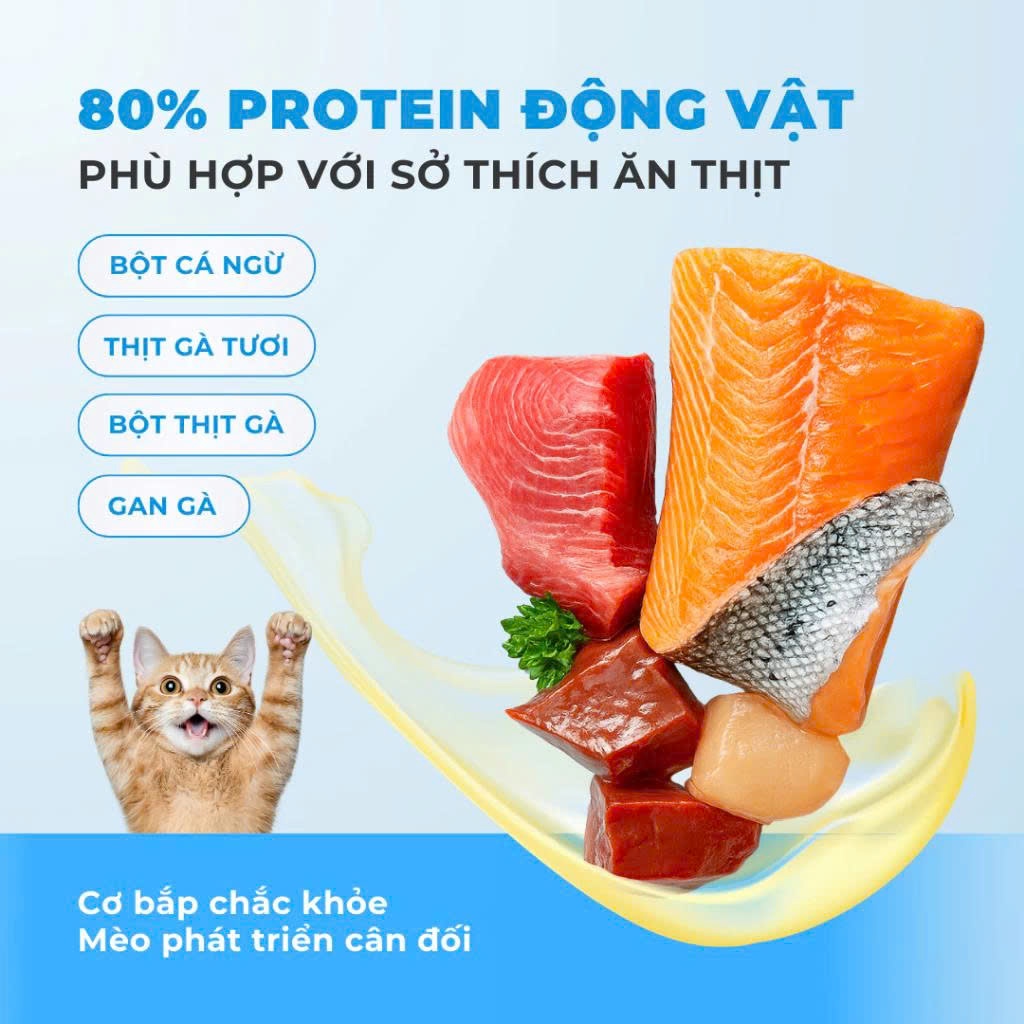 Hạt Cho Mèo MRVET E1 Nuôi Dưỡng Lông Chuyên Sâu Từ Dầu Cá Tinh Khiết, 80% Đạm Động Vật, Gói 1KG