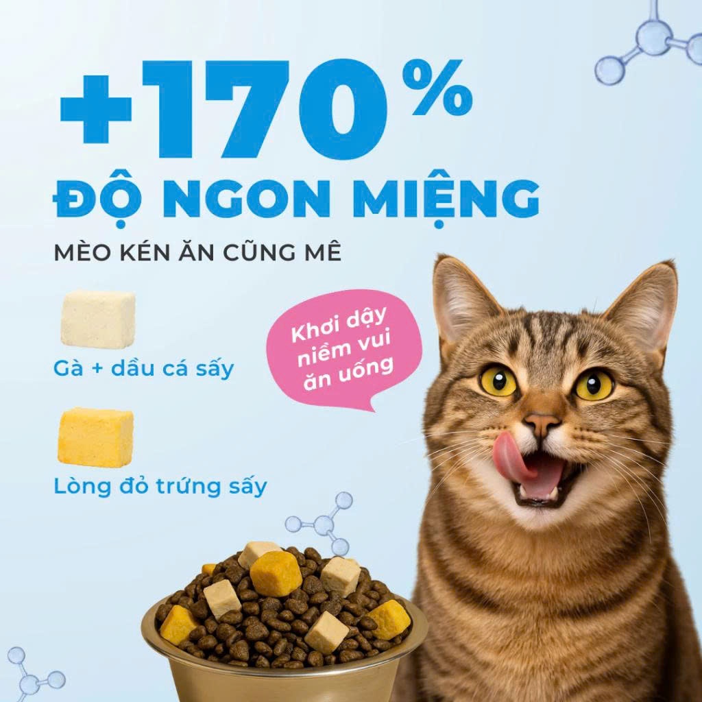 Hạt Cho Mèo MRVET E1 Nuôi Dưỡng Lông Chuyên Sâu Từ Dầu Cá Tinh Khiết, 80% Đạm Động Vật, Gói 1KG