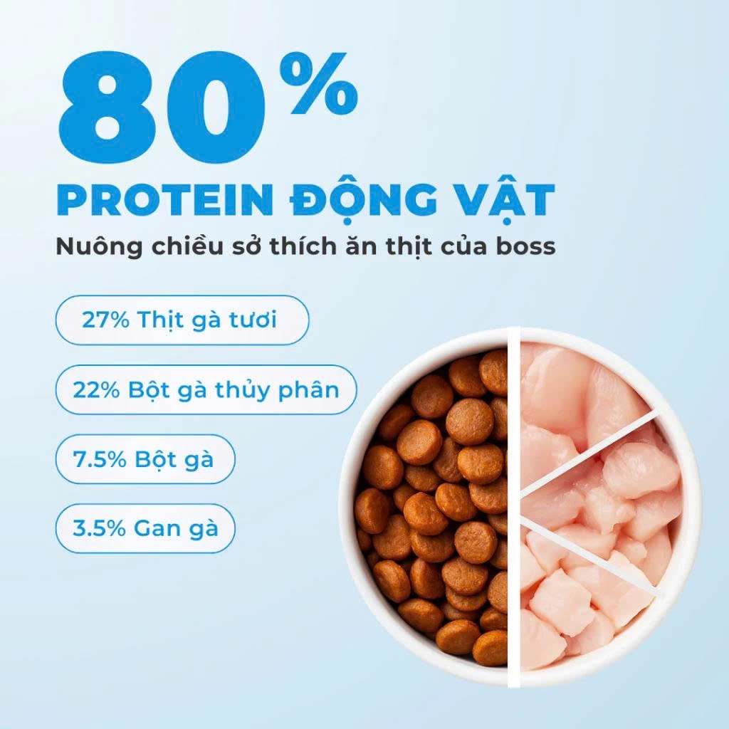 Hạt Cho Mèo MRVET E3 Công Thức Protein Siêu Mịn, Chăm Sóc Hệ Tiêu Hóa Nhạy Cảm, Gói 1KG