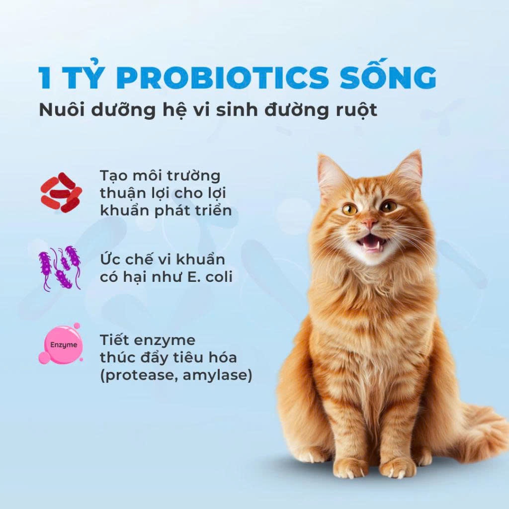 Hạt Cho Mèo MRVET E3 Công Thức Protein Siêu Mịn, Chăm Sóc Hệ Tiêu Hóa Nhạy Cảm, Gói 1KG