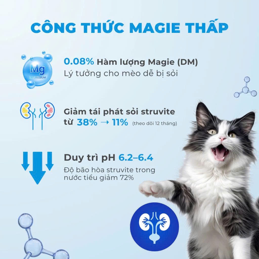 Hạt Cho Mèo MRVET E2 Chăm Sóc Tiết Niệu Đa Chiều, 80% Đạm Động Vật Cao Cấp, Gói 1KG