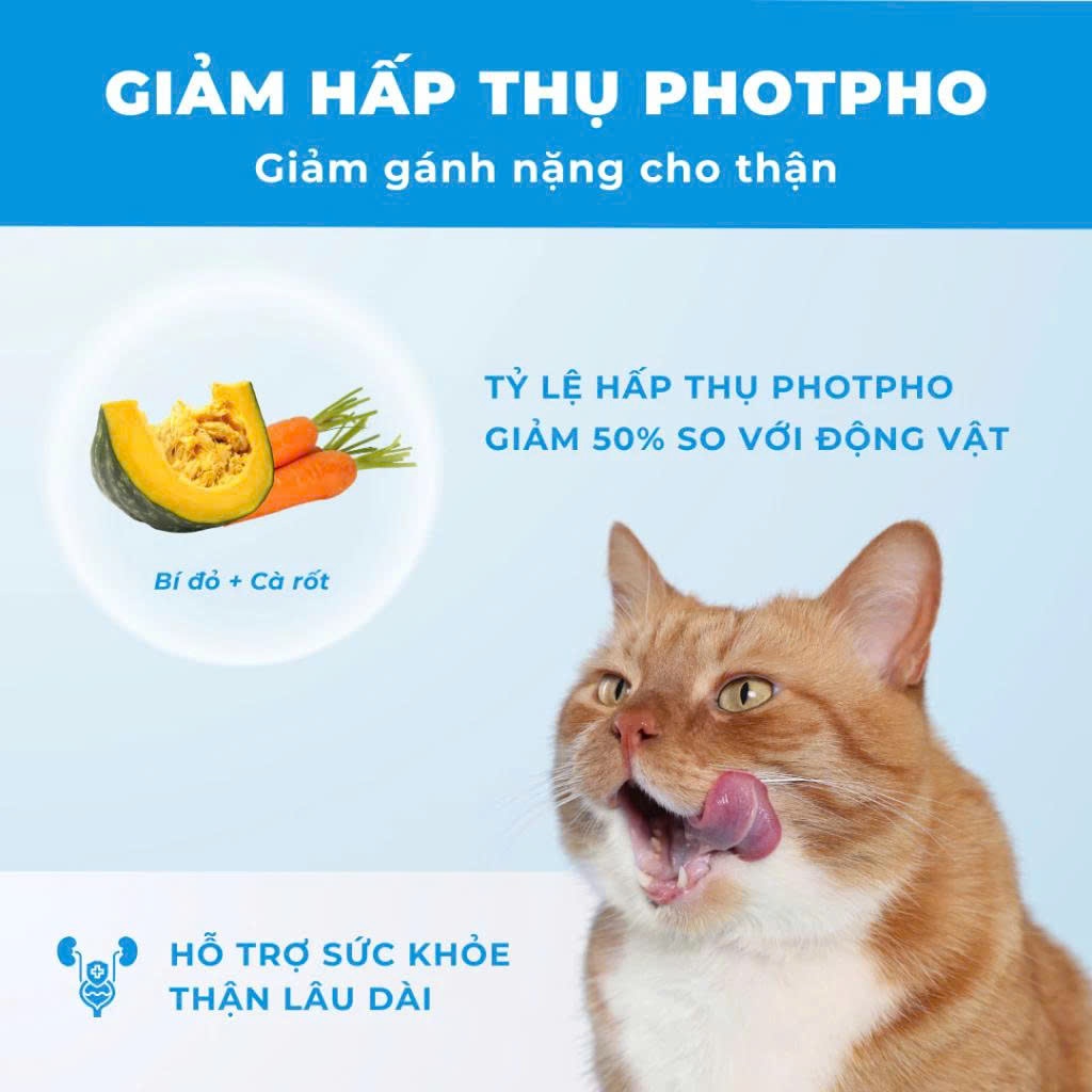 Hạt Cho Mèo MRVET E2 Chăm Sóc Tiết Niệu Đa Chiều, 80% Đạm Động Vật Cao Cấp, Gói 1KG