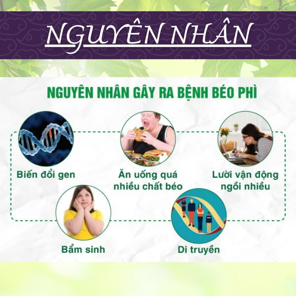 HÒA BÌNH ORGANIC - Trà Túi Lọc Tía Tô - Giảm acid uric, chống viêm, giảm đau khớp  - Bịch 50 lọc