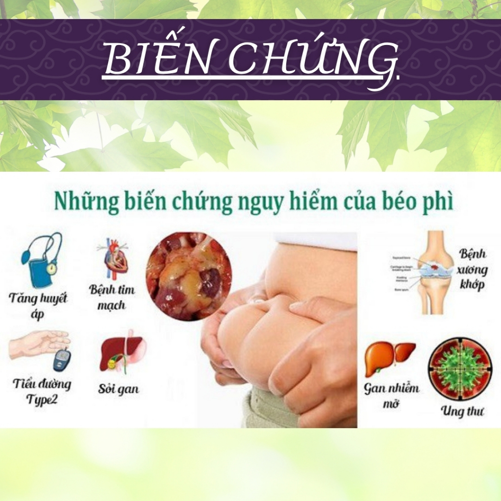 HÒA BÌNH ORGANIC - Trà Túi Lọc Tía Tô - Giảm acid uric, chống viêm, giảm đau khớp  - Bịch 50 lọc