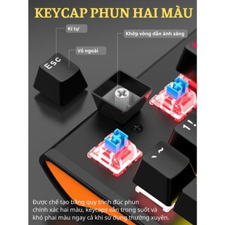 Combo Bàn phím Cơ led đa màu và Chuột Gaming Deiog M115 Full size 104 phím, Antighost 19 phím, Chống nước IP68