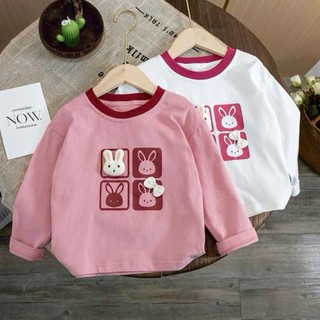Áo thun dài tay in hình thỏ cho bé gái , Áo thu đông bé gái chất cotton Mềm mịn 10-30kg 2 màu