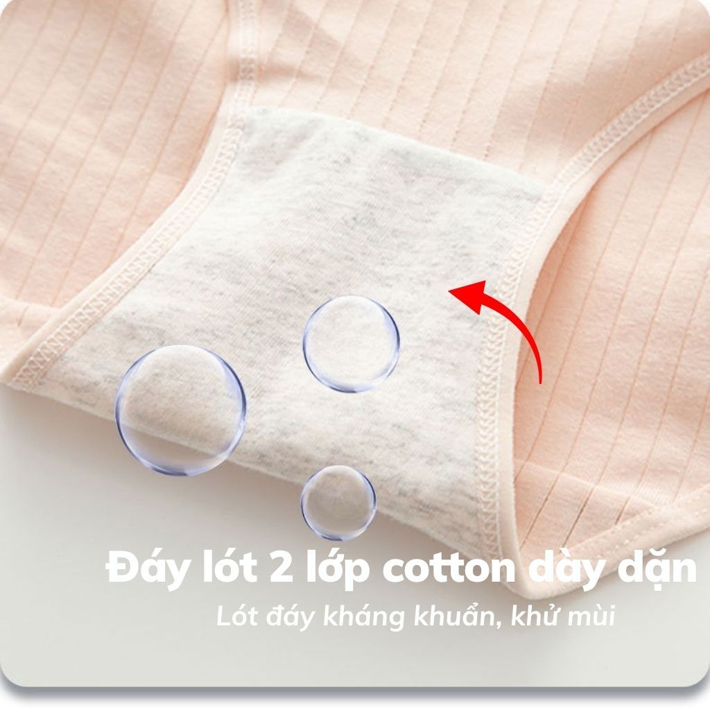 Quần lót nữ cotton gân tăm thấm hút mồ hôi, Quần chip nữ cạp vừa tôn dáng sexy LANIXA L562