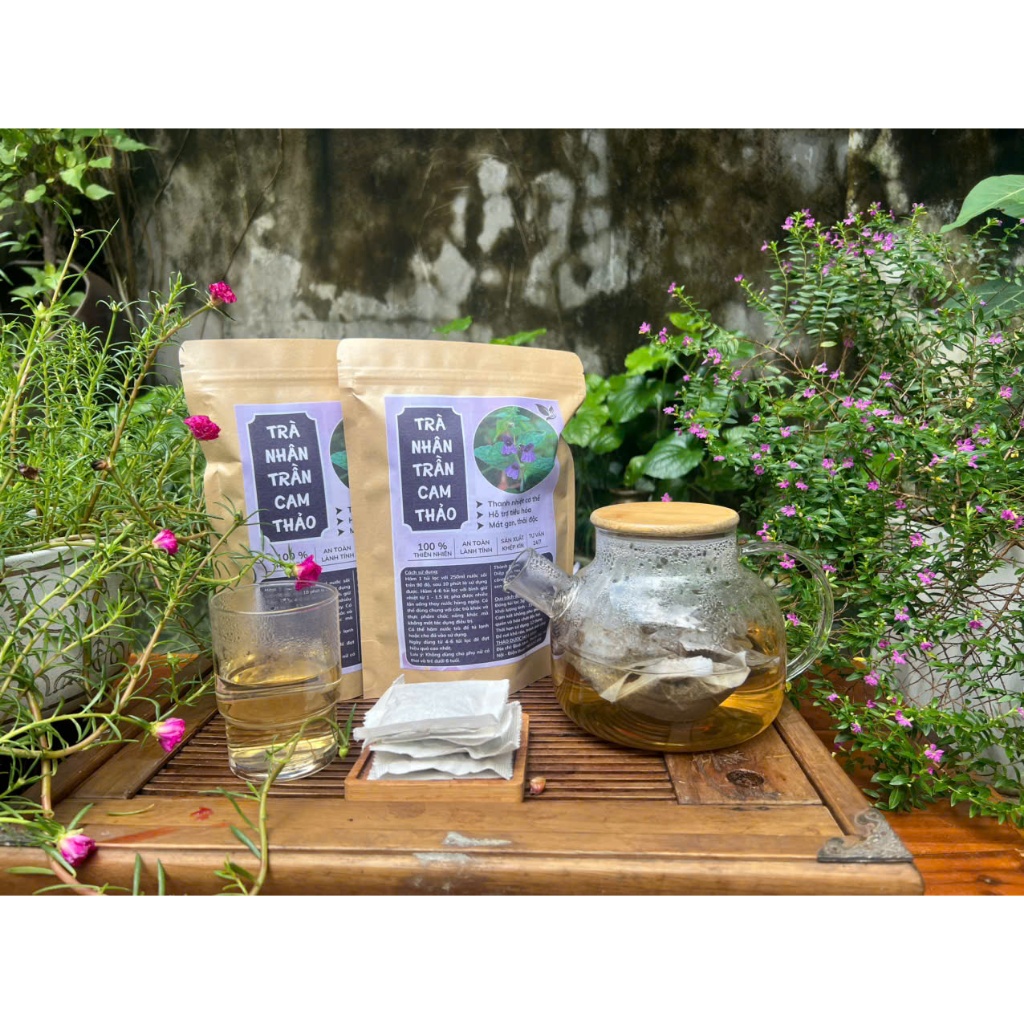 HÒA BÌNH ORGANIC - Trà Túi Lọc Nhân Trần Cam Thảo -Thanh nhiệt, giảm nóng trong, mát gan-Bịch 50 lọc