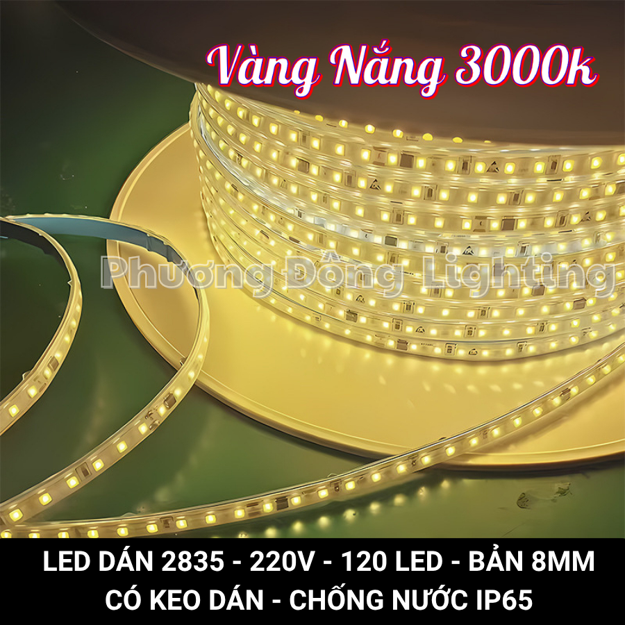 Cuộn 100m LED Dây Dán 2835 Có keo Trang trí tủ kệ, hắc trần, quấn cây siêu sáng Chống nước Điện 220v Tặng Nguồn