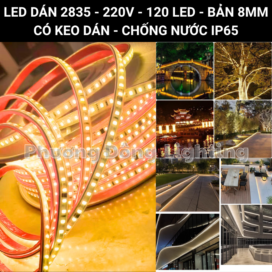 LED Dây Dán 2825  TRẮNG, VÀNG, TRUNG TÍNH Chống Nước – Điện 220V Siêu Sáng Trang trí Nhà Cửa Biển Hiệu...