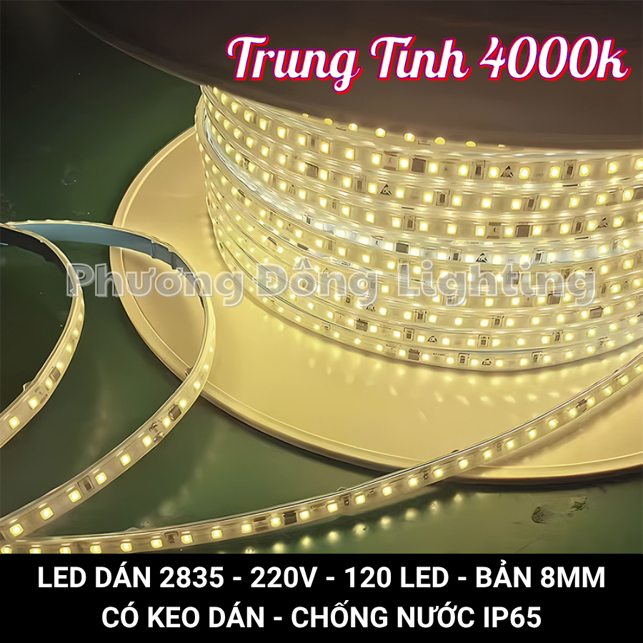 Cuộn 100m LED Dây Dán 2835 Có keo Trang trí tủ kệ, hắc trần, quấn cây siêu sáng Chống nước Điện 220v Tặng Nguồn