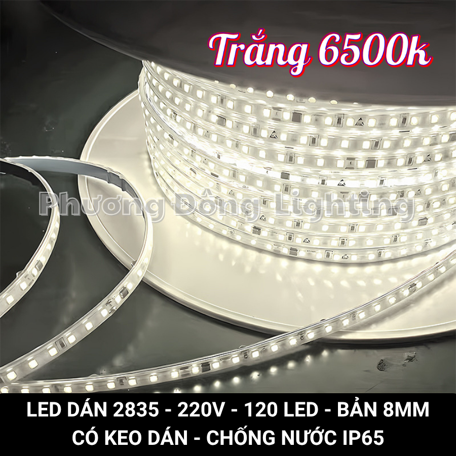 Cuộn 100m LED Dây Dán 2835 Có keo Trang trí tủ kệ, hắc trần, quấn cây siêu sáng Chống nước Điện 220v Tặng Nguồn