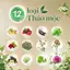 Dầu Gội Fresh Thảo Mộc Dưỡng Sinh 480g