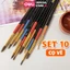 Bộ Cọ Vẽ Màu Nước Acrylic Gouache Chuyên Nghiệp Deli Set 3/5/10 Cọ Vẽ Đầu Tròn Nhiều Kích Thước Lựa Chọn