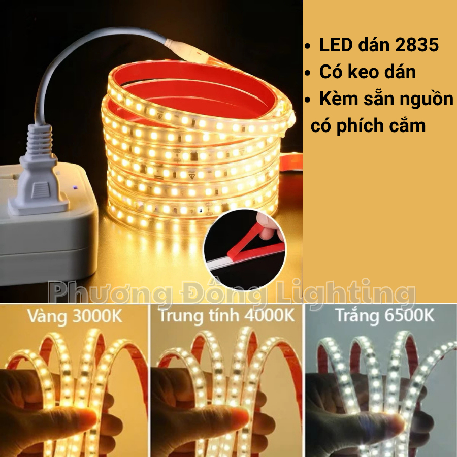 Combo Led Dán 220V 2835 120 led Kèm rắc nối Không cần đổi nguồn Trang trí tủ kệ hắt trần quấn cây Chống nước