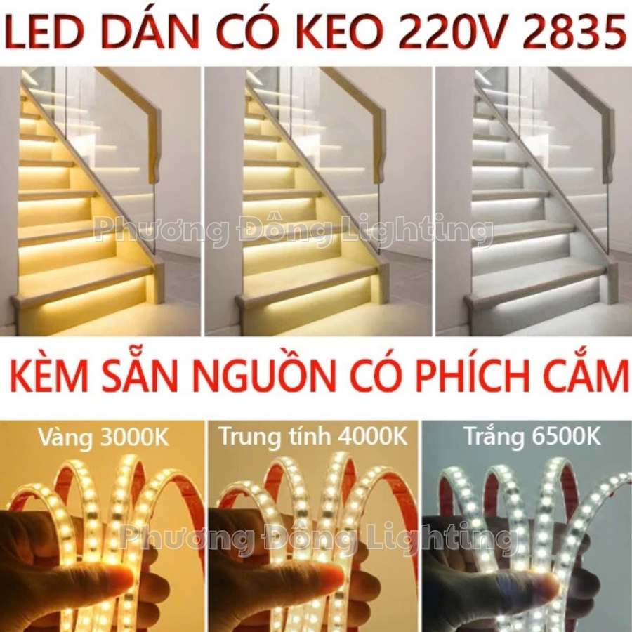Combo Led Dán 220V 2835 120 led Kèm rắc nối Không cần đổi nguồn Trang trí tủ kệ hắt trần quấn cây Chống nước