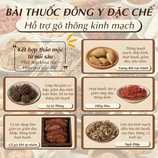 Búa Thảo Dược Chạm Nhẹ House, Gậy Massage Ngải Cứu Hỗ Trợ Ngủ Ngon Giảm Đau, Thông Kinh Lạc hiệu quả.