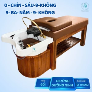 Giường gội cao cấp mẫu bồn tai thỏ chân gỗ , giường gội đầu 2in1, giường spa, màu sắc làm theo yêu cầu