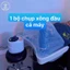 Giường xông hơi massage – Thải độc, giảm mỡ, thư giãn, nâng tầm dịch vụ spa chuyên nghiệp