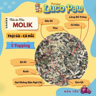 Hạt Cho Mèo MOLIK [ 6kg ] Vị Thịt Gà và Cá Hồi cải thiện tiêu hóa đường ruột, bảo vệ sức khỏe đường tiết niệu