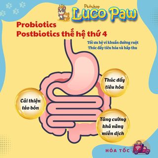 Hạt Cho Mèo MOLIK [ 6kg ] Vị Thịt Gà và Cá Hồi cải thiện tiêu hóa đường ruột, bảo vệ sức khỏe đường tiết niệu