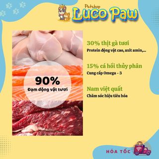 Hạt Cho Mèo MOLIK [ 6kg ] Vị Thịt Gà và Cá Hồi cải thiện tiêu hóa đường ruột, bảo vệ sức khỏe đường tiết niệu