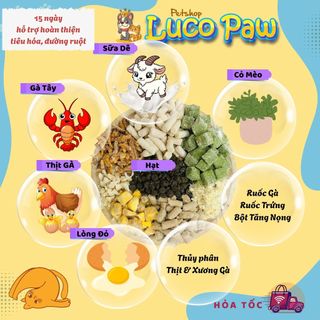 Hạt Cho Mèo MOLIK [ 6kg ] Vị Thịt Gà và Cá Hồi cải thiện tiêu hóa đường ruột, bảo vệ sức khỏe đường tiết niệu