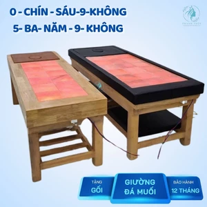 Giường Đá Muối Himalaya Gỗ Bọc Da Cao Cấp Loại