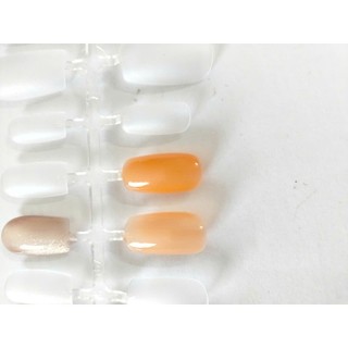 sơn thạc nail box 100ml, 200ml