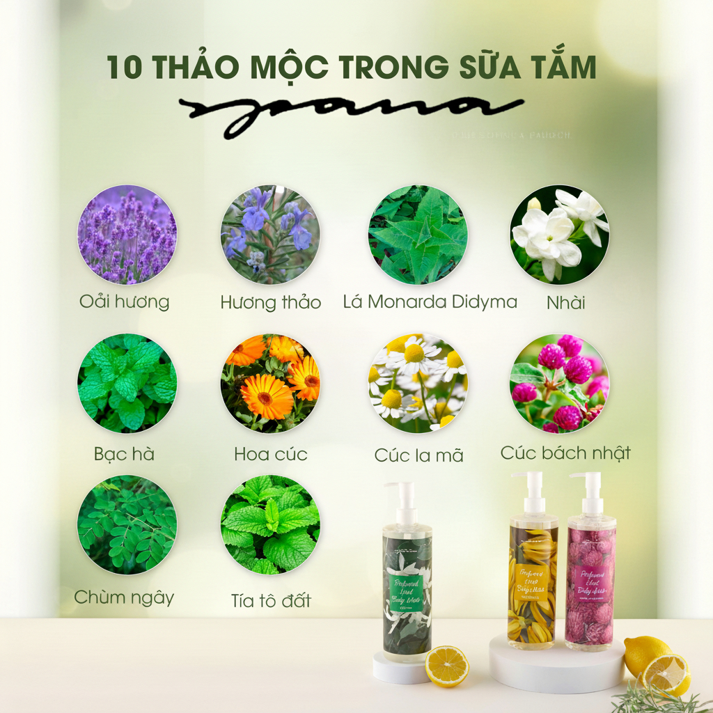 Thiết kế của Sữa Tắm Thảo Dược Spana Cao Cấp