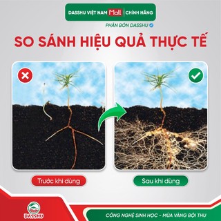 [ CHÍNH HÃNG ]  Phân Bón Dasshu Z1000 Kích Rễ, Bung Đọt, Lá Xanh Dày Dẹp Bổ Sung NPK Tăng Năng Suất Cây Trồng