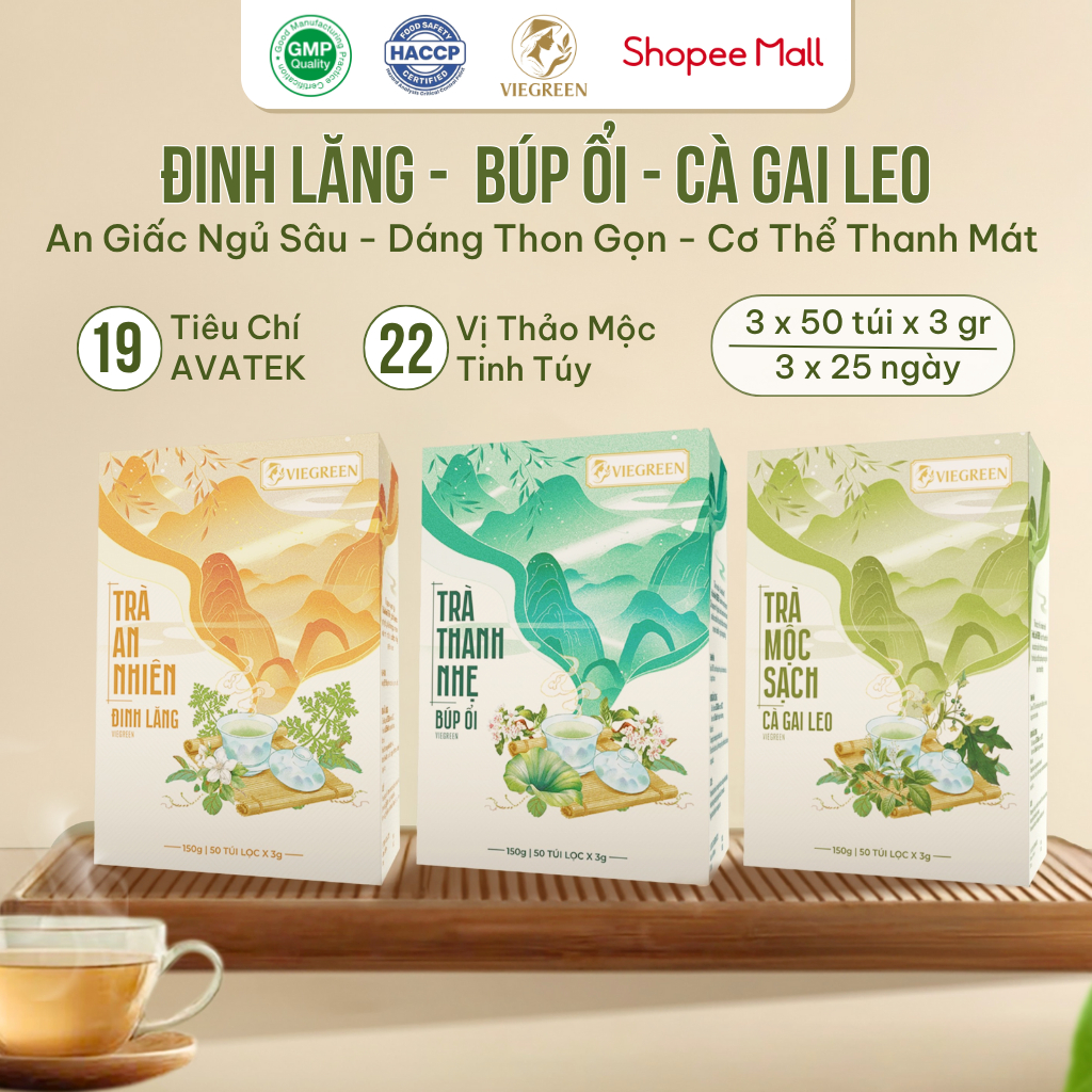 Combo 3 Trà Túi Lọc Đinh Lăng + Búp Ổi + Cà Gai Leo VIEGREEN, 50x3g + 50x3g + 50x3g, GMP HACCP