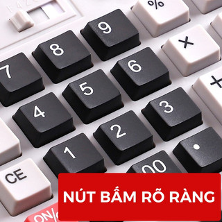 Máy Tính Cầm Tay Để Bàn 12 Số - Màn Hình LCD Góc Nghiêng, Máy Tính Cơ Bản Cho Kế Toán Văn Phòng