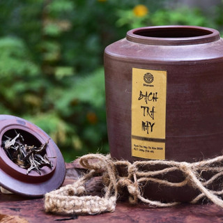 Chum Bạch Trà Mây Shanam 200gr, Trà Shan Tuyết Cổ Thụ Tà Xùa 1 Tôm 2 Lá, Hương Thơm Chát Nhẹ, Giảm Căng Thẳng
