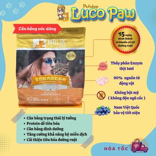 Hạt Cho Mèo MOLIK [ 6kg ] Vị Thịt Gà và Cá Hồi cải thiện tiêu hóa đường ruột, bảo vệ sức khỏe đường tiết niệu