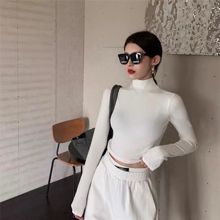 Áo Thun Tay Dài Cổ Lọ Croptop Dáng Ôm Body, Áo Thun Cổ Cao Dài Tay Basic Cá Tính Thun Gân TD04 Rusy