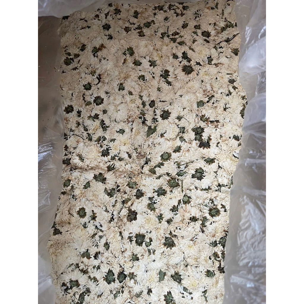 Hoa Cúc Trắng, Bông Cúc Khô, Nguyên Bông Trắng Đẹp Dùng Pha Trà...