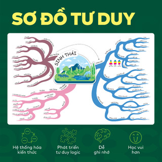 Bộ 4 cuốn sách Đột phá tư duy lớp 8 môn Toán và KHTN - Giúp học sinh tự học | WinBook