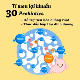 Hạt chó mèo Molik - LingYue 40g hạt dùng thử, túi tiện lợi, sample, hỗ trợ tiêu hóa