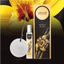 Gốm Thơm Dạng Xịt AREON Home & Car 20ml Chính Hãng-6 Mùi Hương Lựa Chọn,Dùng Cho Ô Tô,Tủ Quần Áo