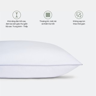 Ruột Gối Everon Original Low – Hỗ Trợ Giấc Ngủ Sâu, Nhẹ Nhàng, Thoáng Mát, Êm Ái, Chính Hãng