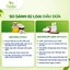 Dầu dừa ép lạnh nguyên chất tinh khiết hữu cơ Vietcoco - Dầu dừa ăn uống, ủ dưỡng tóc, dưỡng da, súc miệng oganico tk